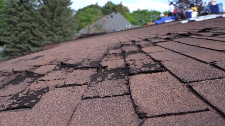 Best Roof Coating and Sealing  in South Haven, MI