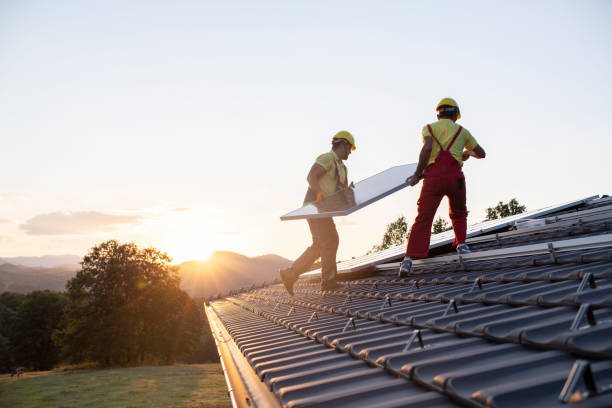 Best Asphalt Shingle Roofing  in South Haven, MI