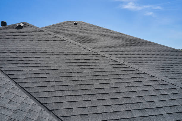 Best Roof Insulation Installation  in South Haven, MI