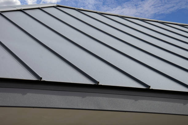 Best Roof Leak Repair  in South Haven, MI